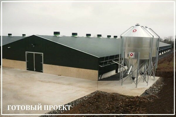 Этапы возведения птицефабрики от завода ВелесТент-пчр